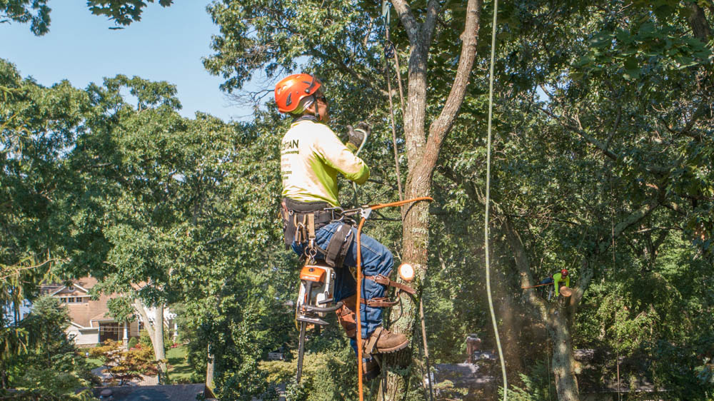 Located in Charlotte, NC, Kristian Tree Service is one of the fastest growing landscape and tree removal companies in Central NJ.
