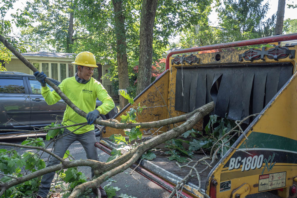 At Kristian Tree Service, our experts will provide you with affordable and professional tree services for every month of the year.