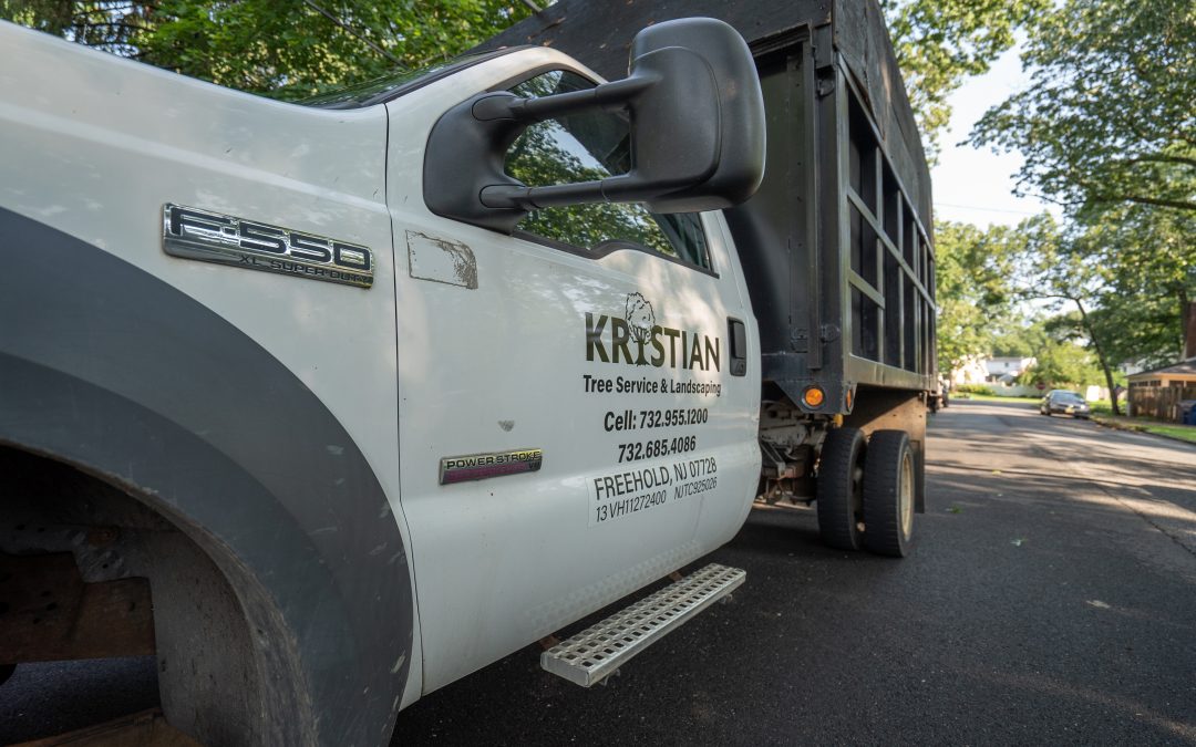 Year-End Tree Maintenance Checklist for Central Jersey Homeowners