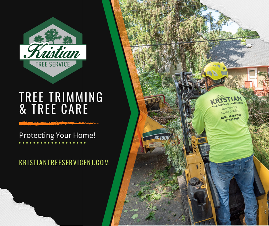 Using best practices when it comes to tree trimming and tree care keeps everyone safe and gives you the best possible curb appeal.