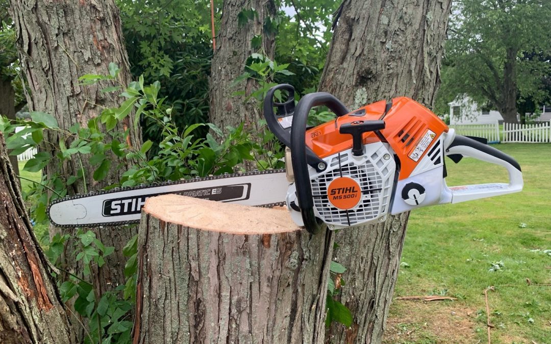 Your One-Stop Shop for Landscaping, Planting, and Tree Services