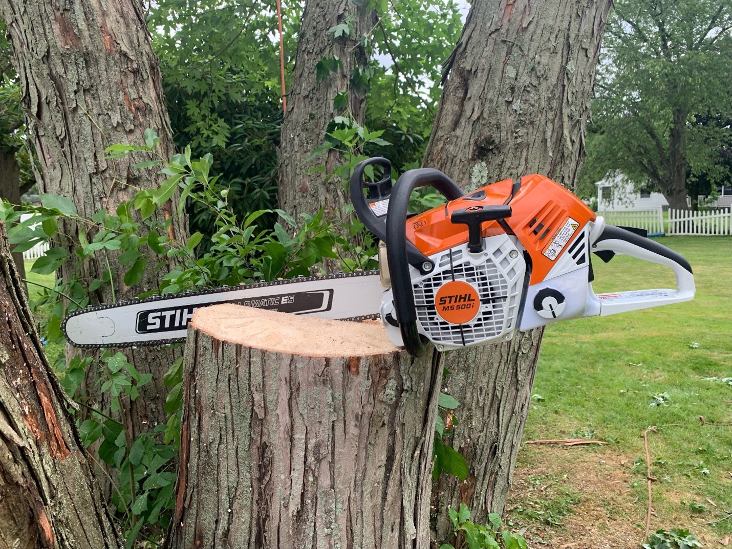 chainsaw expert tree cutting services in Freehold NJ