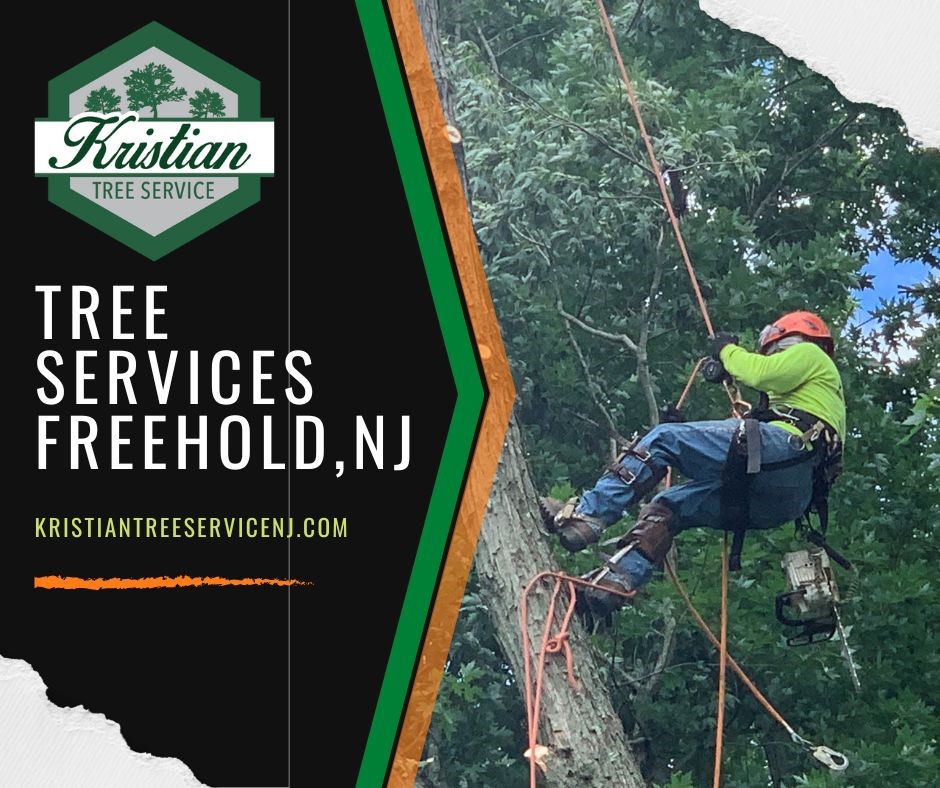 Kristian Tree Service tree removal in Freehold NJ