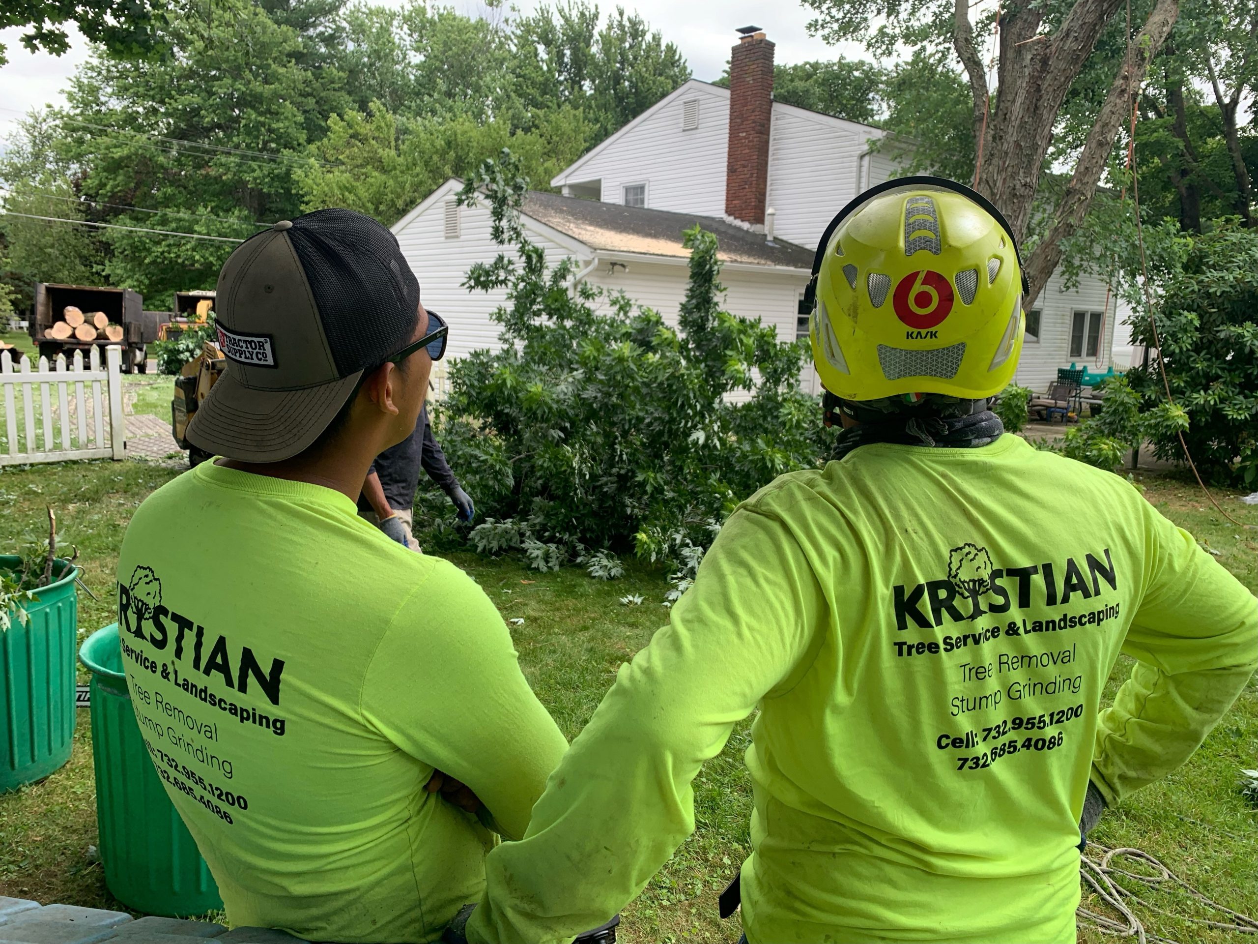 free tree inspections charlotte nc tree removal services Kristian Tree Service