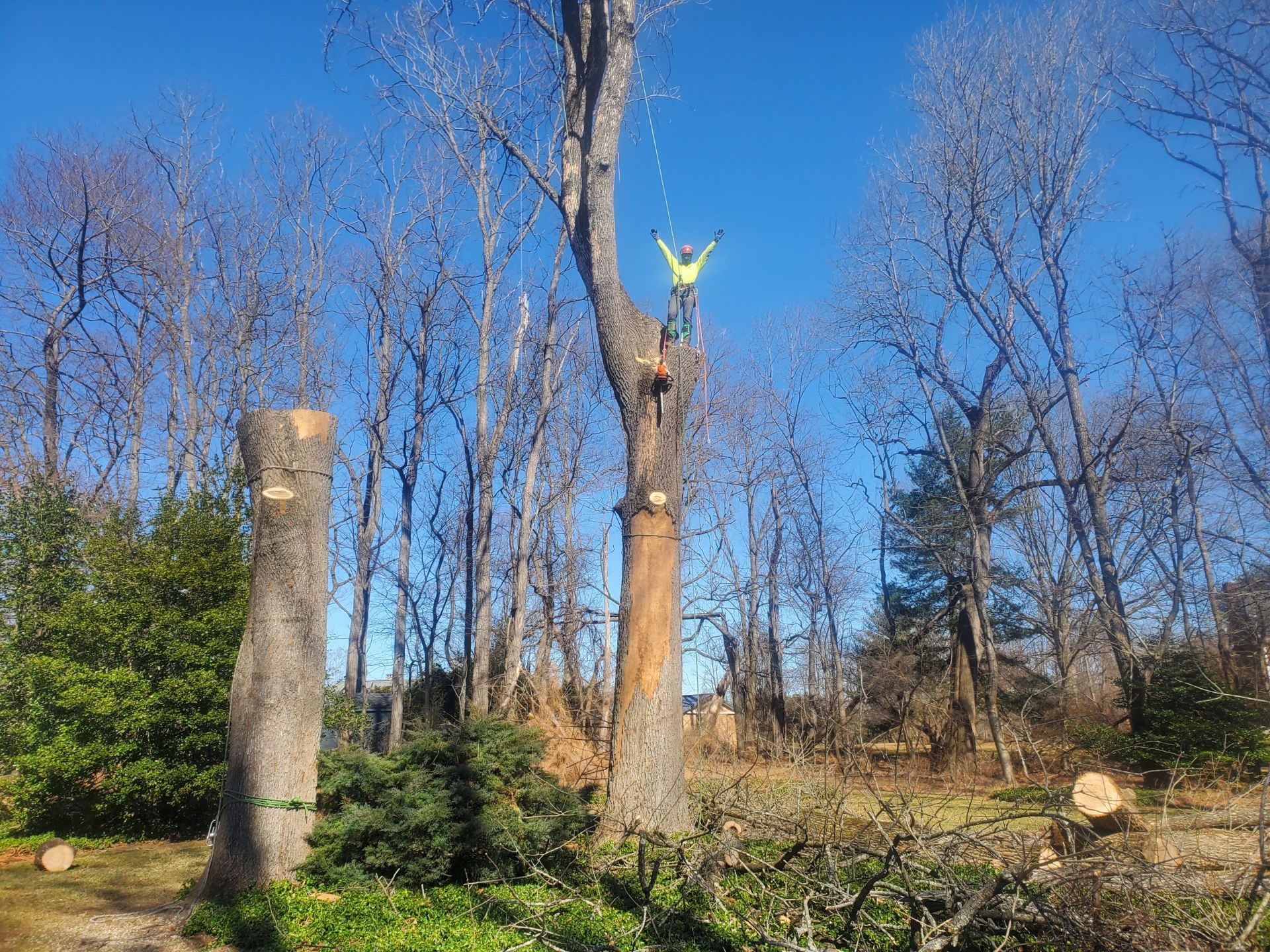 Kristian Tree Service is equipped to handle the challenges of winter tree removal and has the experience to safely remove any tree.